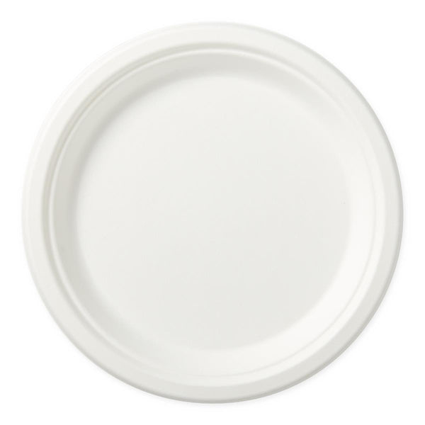 Sugar-Cane Paper Plate, 9", 500/CS (ECOPLATE9) Case of 500