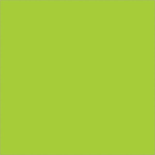 4 x 4" Fluorescent Green Inventory Rectangle Labels, Roll Of 500 Roll Of 500