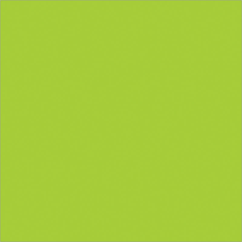 4 x 4" Fluorescent Green Inventory Rectangle Labels, Roll Of 500 Roll Of 500