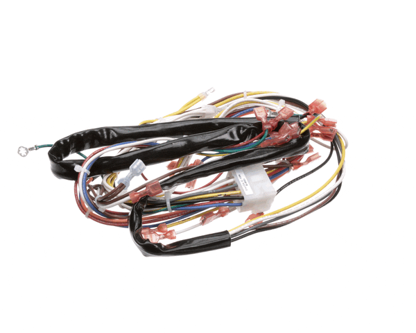 DUKE 153618 HARNESS,MOTOR/GAS CONTROL (DUK153618) Each