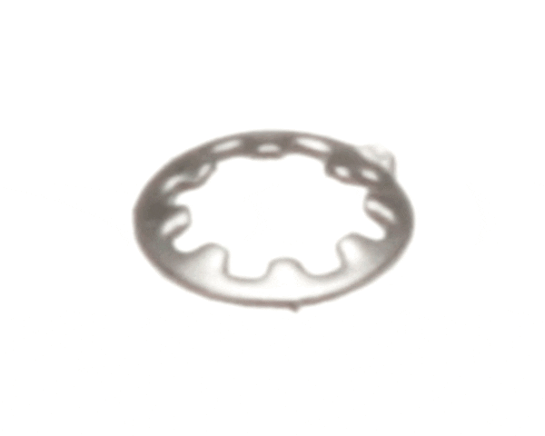 Eloma E050849 Lock Washer (ELME050849) Each