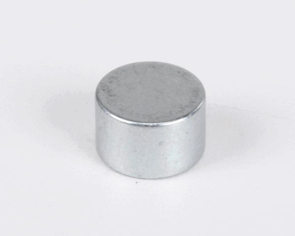 Electrolux Professional 0D5334 Magnet, 8X5 Neodymium (ELX0D5334) Each