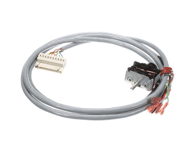 Electrolux Professional 0G3298 Switch, W. Poti/Cable - 10 Po (ELX0G3298) Each