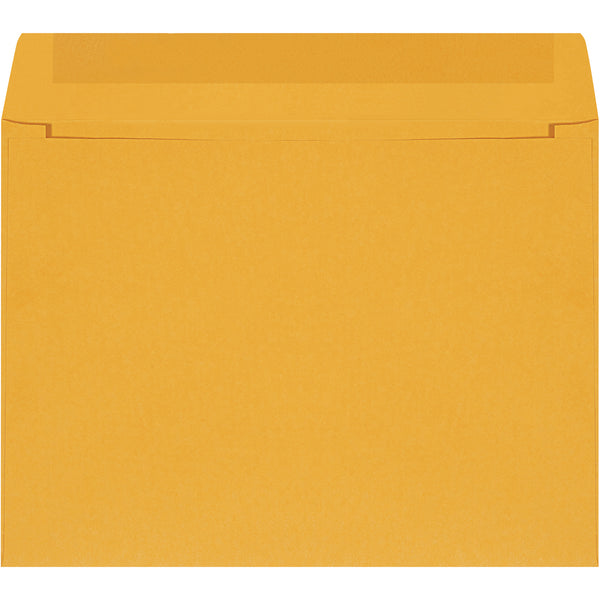 12 x 9" Kraft Self-Seal Envelopes, Case Of 500 Case Of 500