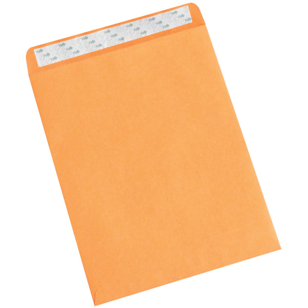 10 x 13" Kraft Self-Seal Envelopes, Case Of 500 Case Of 500