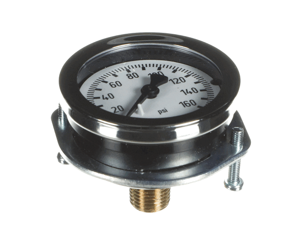 Everpure 530-20018 Pg - 2" - 160Psi - 1/4Mpt Cbm Pnl (EVE530-20018) Each