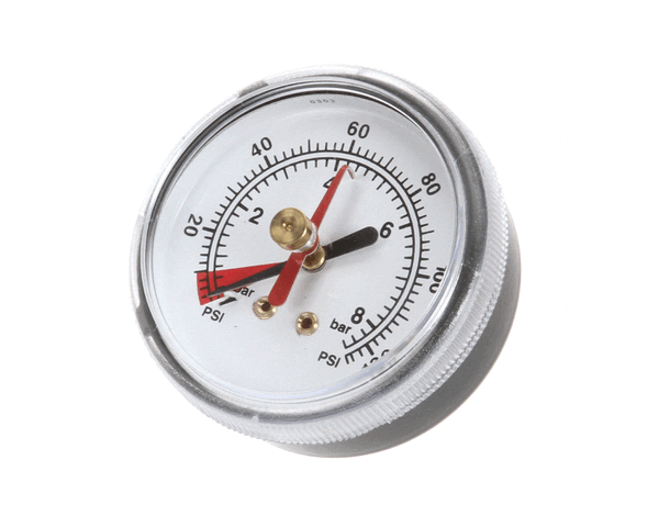 Everpure Ev306818 Back Mnt Brass Gauge 0-125 Psi (EVEEV306818) Each