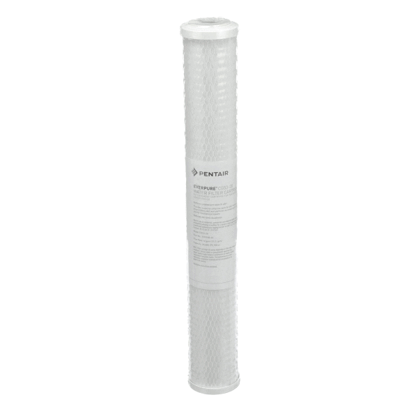 Everpure Ev910863 Cg53-20 (EVEEV910863) Each