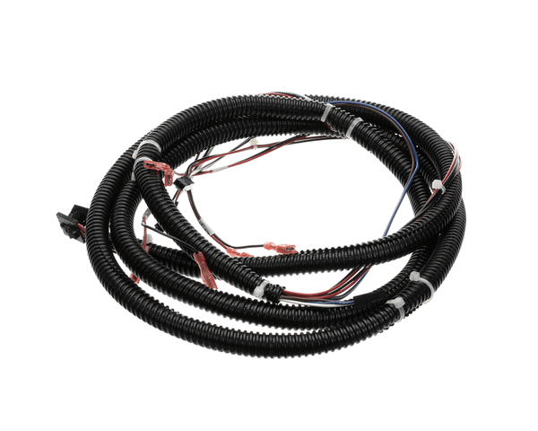Franke Foodservice System 19002729 Cable Assembly, Motor Harness F3D3 (FFS19002729) Each