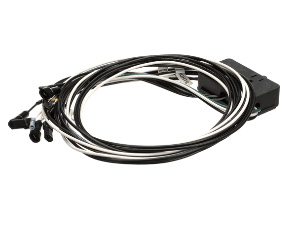 Franke Foodservice System 19006873 Wiring Loom Bbr (FFS19006873) Each