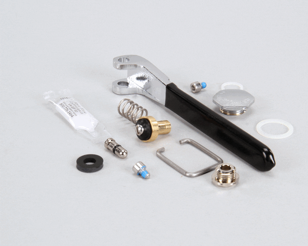 FISHER 11355 REPAIR KIT SPRAY VALVE BRS (FIS11355) Each
