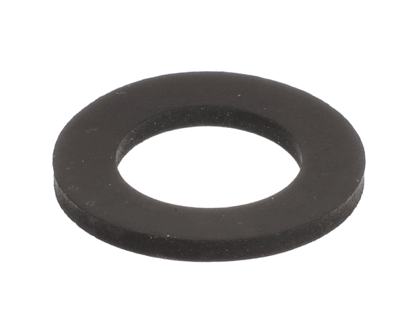 FISHER 73655 GASKET END CAP BW (FIS73655) Each