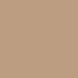 Arkwright Home® Cozy Soft Polar Fleece Throw 50x60 Beige, 12/Case (FLC-PLR-5060-BG-CS) Case of 12