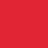 Arkwright Home® Cozy Soft Polar Fleece Throw 50x60 Red, 12/Case (FLC-PLR-5060-RD-CS) Case of 12