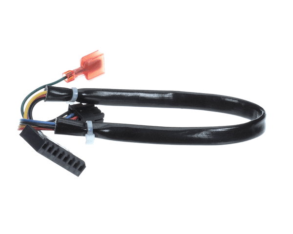 Frymaster 8075987 Harness, Fenwal Module Dv (FM8075987) Each