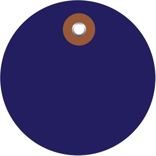 3" Blue Plastic Circle Tags, Case Of 100 Case Of 100