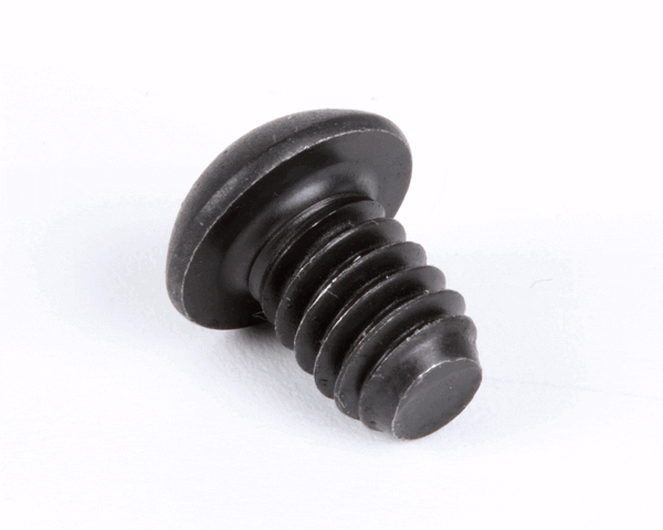 Globe 1107 Roller Retaining Screw (GLO1107) Each