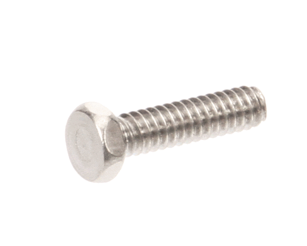Globe 1307 Screw (GLO1307) Each
