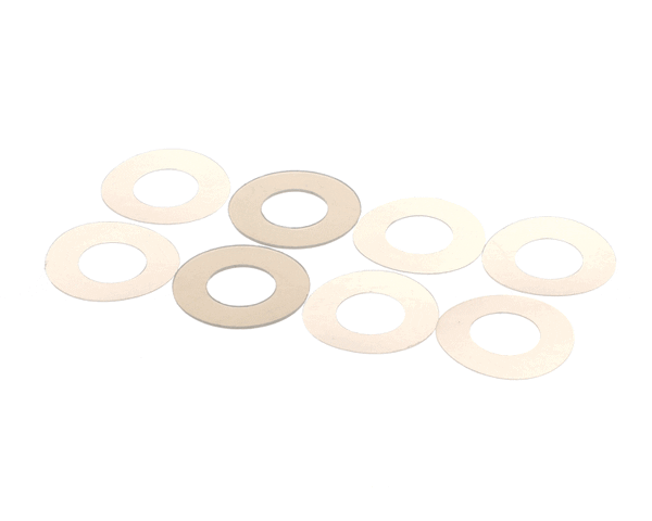 Globe 800164 Washer Kit, End Weight Face (GLO800164) Each
