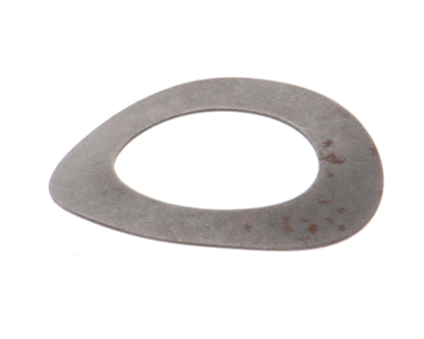 Globe 810 Motor Gear Bowed Washer (GLO810) Each
