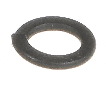Globe X08008 Spring Washer (GLOX08008) Each