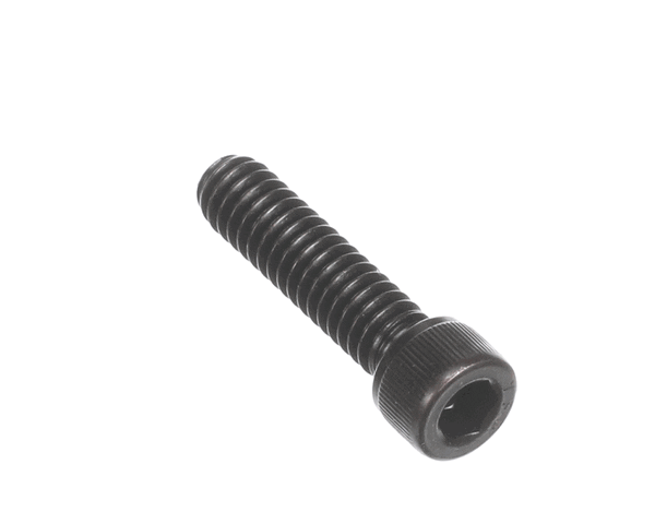GRINDMASTER CECILWARE W0610559 SCREW, 1/4-20X1 SHCS, STL ALLO (GMW0610559) Each