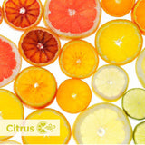ActiveAire Automated Freshener Dispenser Refill for use with ActiveAire&reg; In-Stall Air Freshener Dispensers, Citrus, 12 Cartridges/Case (GPC48255) Case of 12
