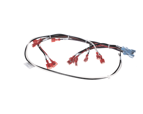 Groen 144973 Wire Harness-Electric Tilt, High Voltage (GR144973) Each