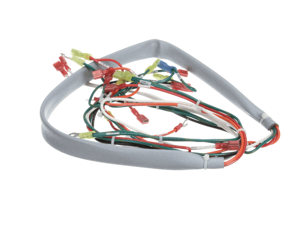 Groen 148503 Wiring Harness, Controls Ee-20, 40 (GR148503) Each