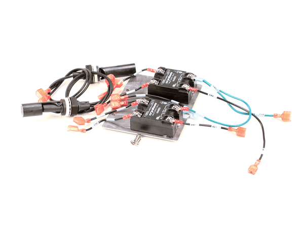 Groen 176850 Service Kit, Cd Float Probe And Ssr (GR176850) Each