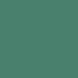 Hospeco® Mariposa Poly Spun NaPackin 20x20 Green, 25/Pack (HOSPNP-NAP-GREEN-25) Pack of 25