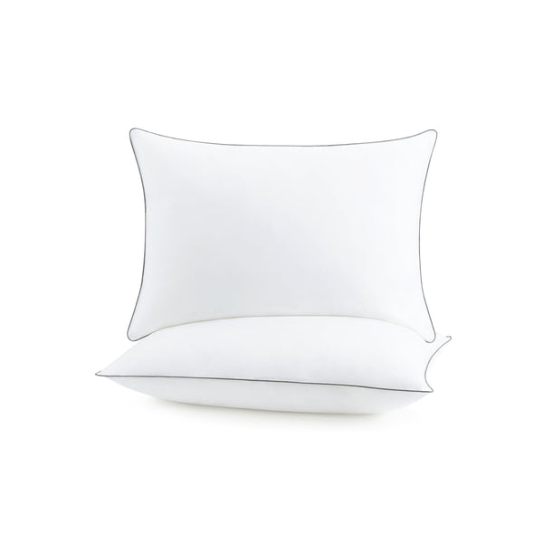 Arkwright Home Host & Home 2 Pack Bed Pillow Queen 20x30 (P-HH-2PK-PIL-QN) 2/PK