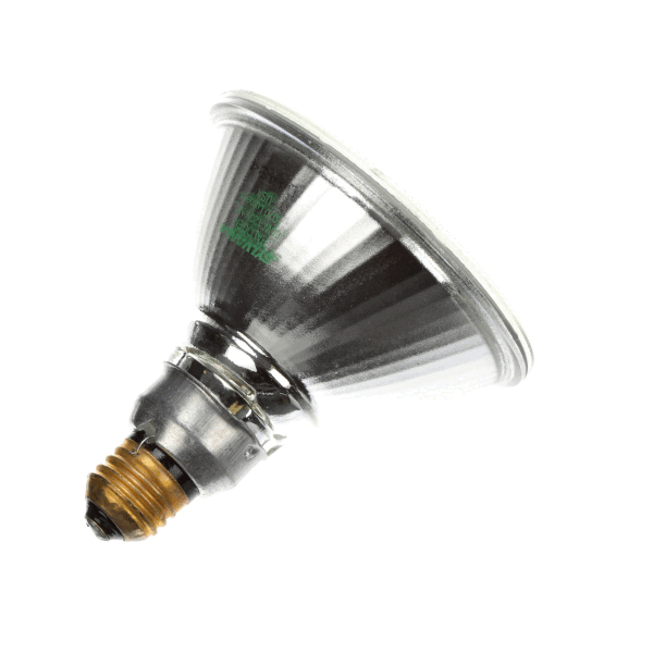 Hickory 149 Lamp Par 115V,H90Par38/Fl (HIC149) Each