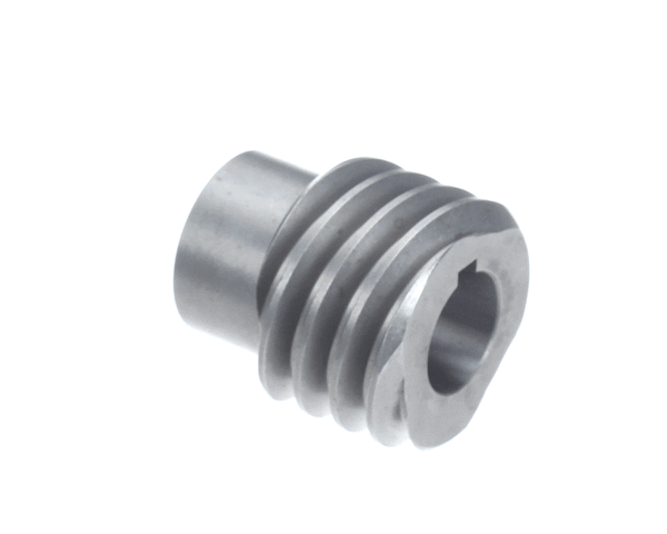 Hobart 00-937119 Worm, Motor (HOB00-937119) Each