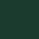 Hospeco® Cotton Jr. Salon Towel 16x27 Hunter Green, 12/Pack (BBJ-1627-2.5HUN) Pack of 12