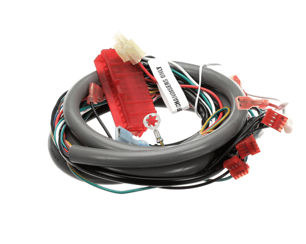 CORNELIUS 629096913 KIT WIRE HARNS ILUM OPT QST4 (ICO1058373) Each