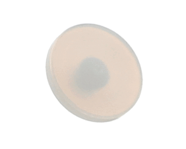 JBT 06000068 Bearing,Fruit Lift (JBT06000068) Each