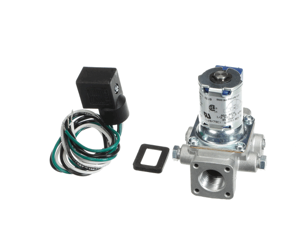 Lang 2V-80502-01 Solenoid Valve 120Vac (LG2V-80502-01) Each