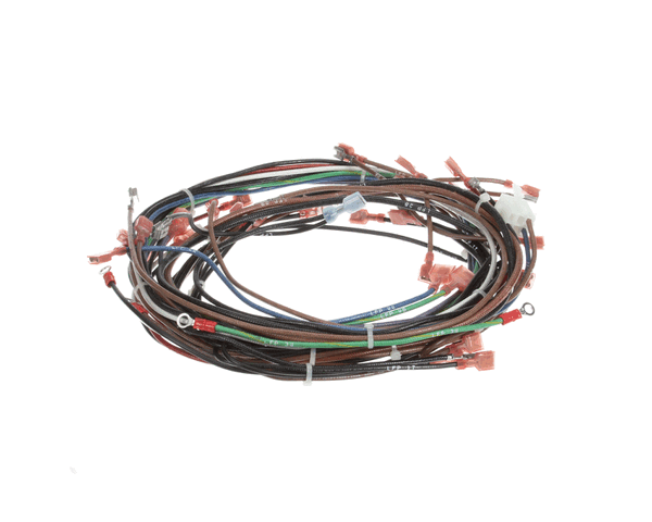 Lincoln 370341 Wire Harness Cti 60Hz1Ph (LIN370341) Each