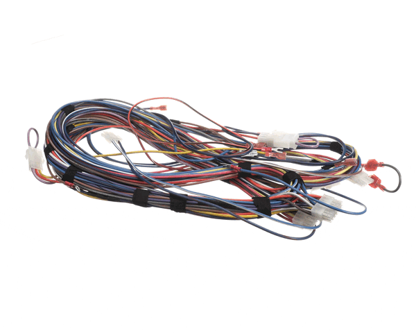 Lochinvar 100173240 Harnesswire24Vpb/Pf (LOC100173240) Each