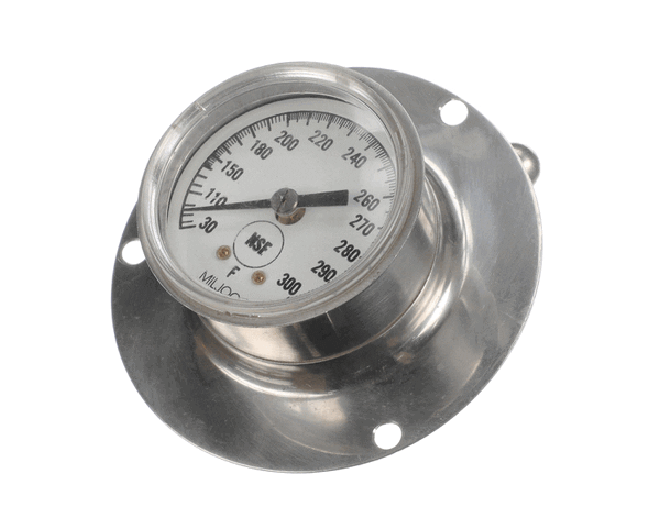 Low Temp Industries 500040 Thermometer,Dial(2)Rear Flng (LOW500040) Each