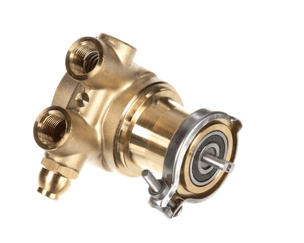 Multiplex 00702917 Pump 070 Gph Brass W/170 (MANB00702917) Each
