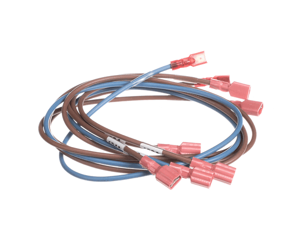 Middleby 74281 Wireset,24Vdc Motor Ps670 (MD74281) Each
