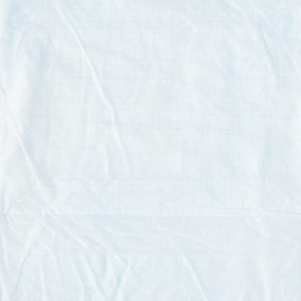 Protection Plus Underpad, Moderate Absorbency, 23" x 24", Blue, 5/BG (MSC281241LBH) Bag of 5