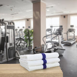 Hospeco® Power Gym Hand Towel 16x27 Blue Stripe, 120/Case (HOSPWR-1627-3BCS-CS) Case of 120