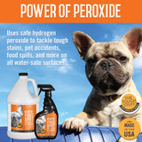 Tough Stuff® Oxy-Force Spot Remover & Cleaner, Citrus, 32 oz Bottle (HOSP32OXYRTU) Each