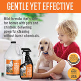 Tough Stuff® Oxy-Force Spot Remover & Cleaner, Citrus, 32 oz Bottle (HOSP32OXYRTU) Each