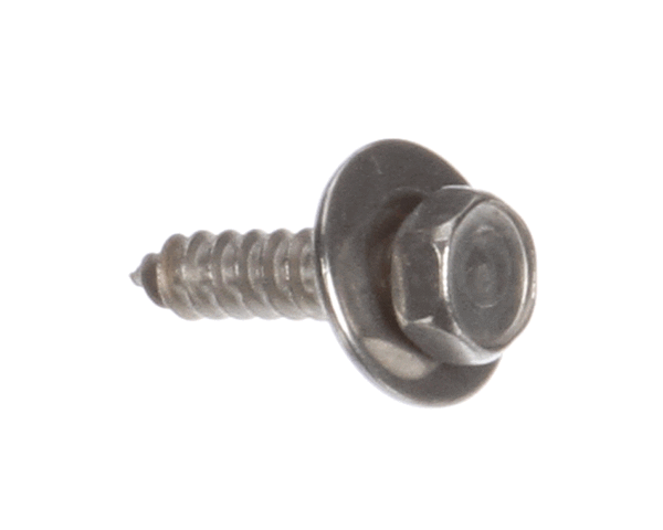 Rational 1004.2160 Hex Self Tapping Screw 4,2X16 Sold As 1 (RATL1004-2160) Each