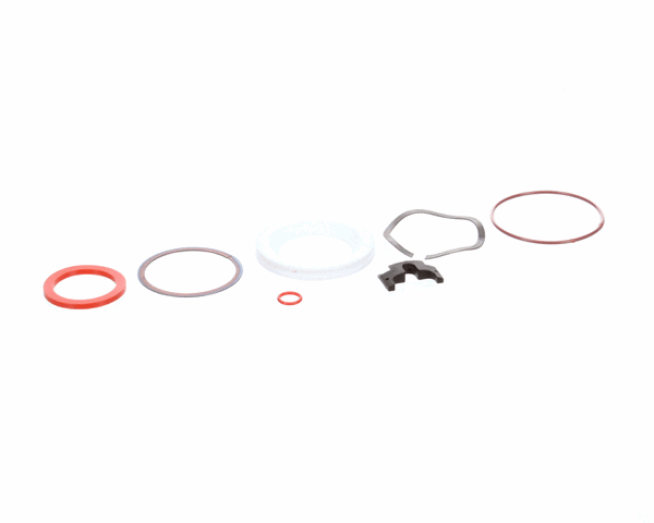 COMPONENT HARDWARE DSS-0010 REPAIR KIT, DSS AND DBN DRAINS (RESDSS-0010) Each