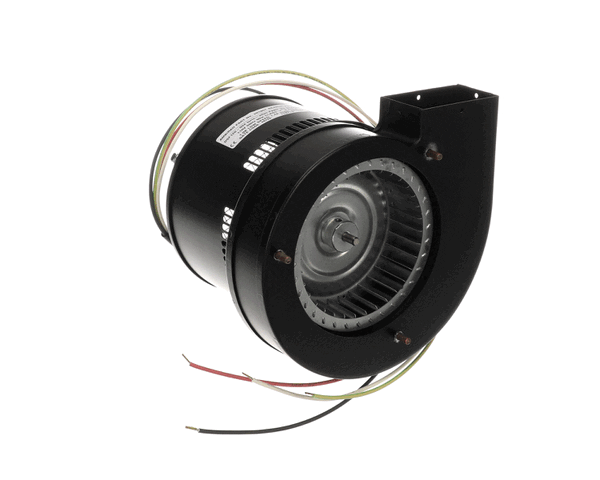 Reznor Rz270464 Motor, 2-Speed, 4-Wire, 120V, 60H (REZRZ270464) Each